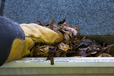 Boca Raton Gutter Is South Florida S Leading Seamless Rain Gutter Company Our Friendly Knowledgeable Tea Cleaning Gutters Home Maintenance Gutter Maintenance